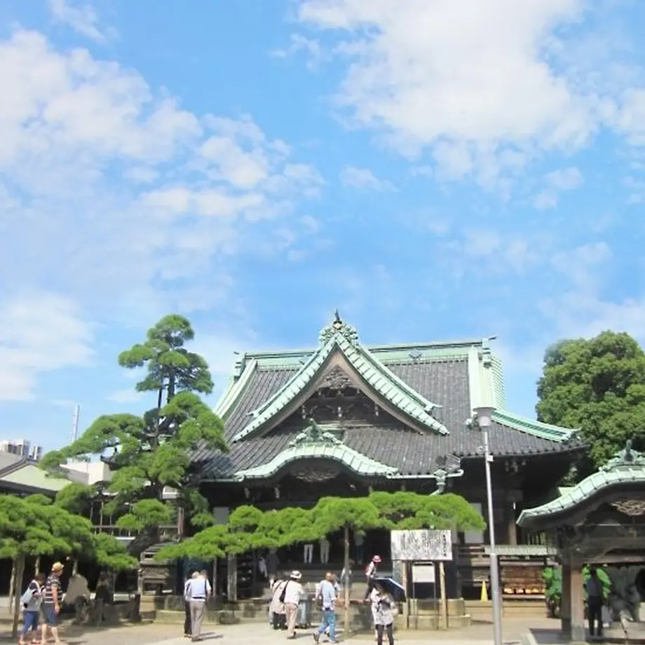 59e55703ed05e645d6001328