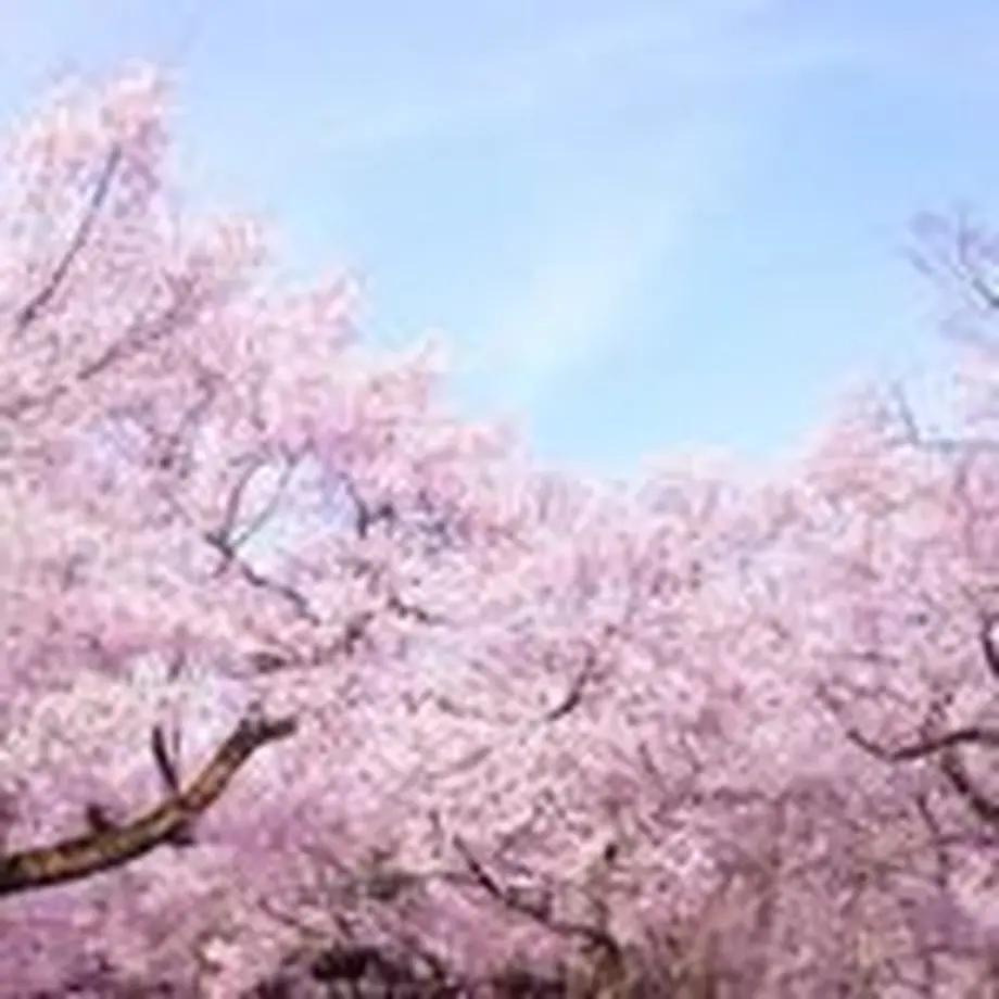 58b47b5041f8e84bb5003c2b