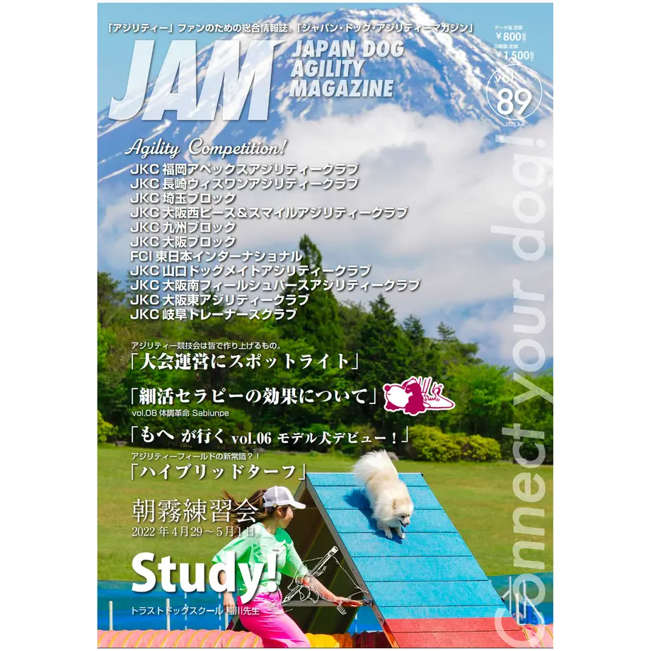 629fe91b288b8063687f5477