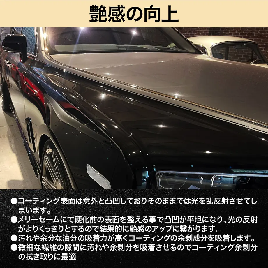 5c454ae71444484e924d913e