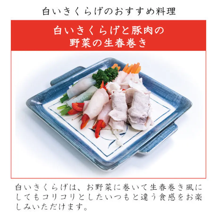 5ec2305a5157623a03556e1e