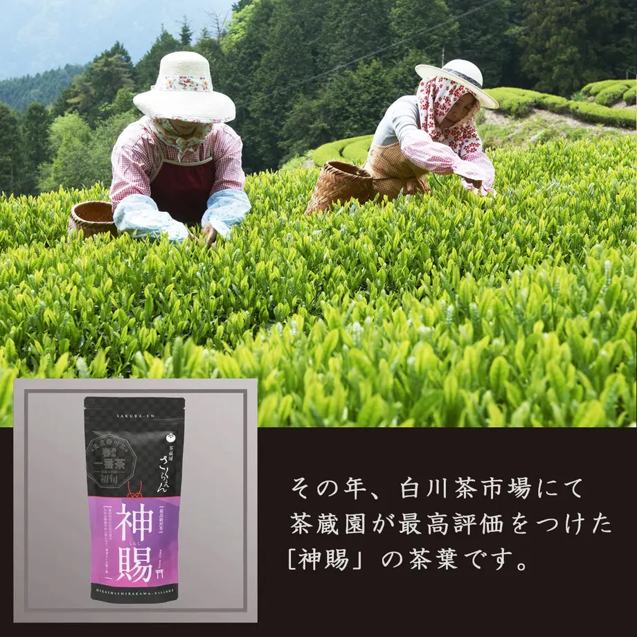 5f0fb76113a48b62a3ba443c