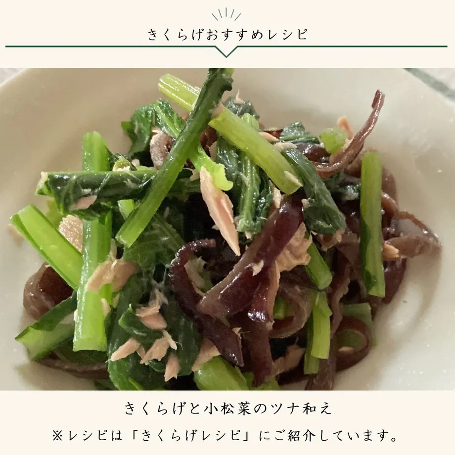 5f8fcbfa4606903b14ba27aa