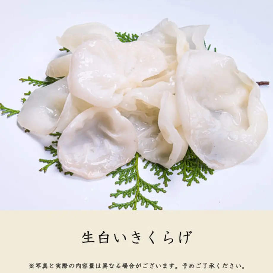5ec2344e5157626be7558184