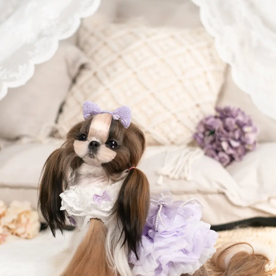 614e9580a1027573c4ddf9f0