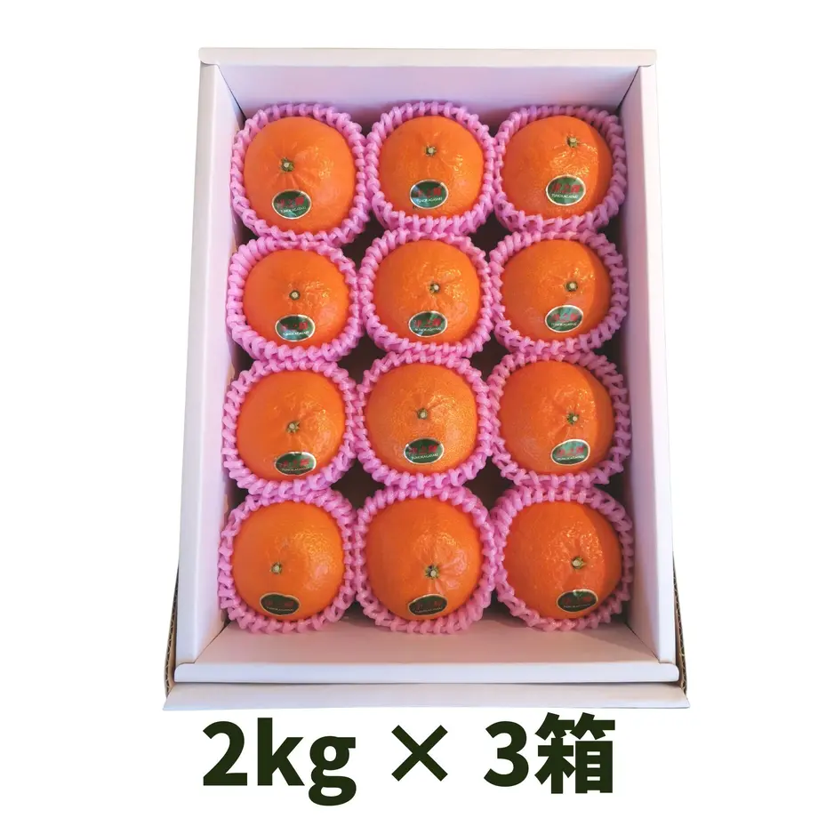 63999689ce31d1118dd15a1b