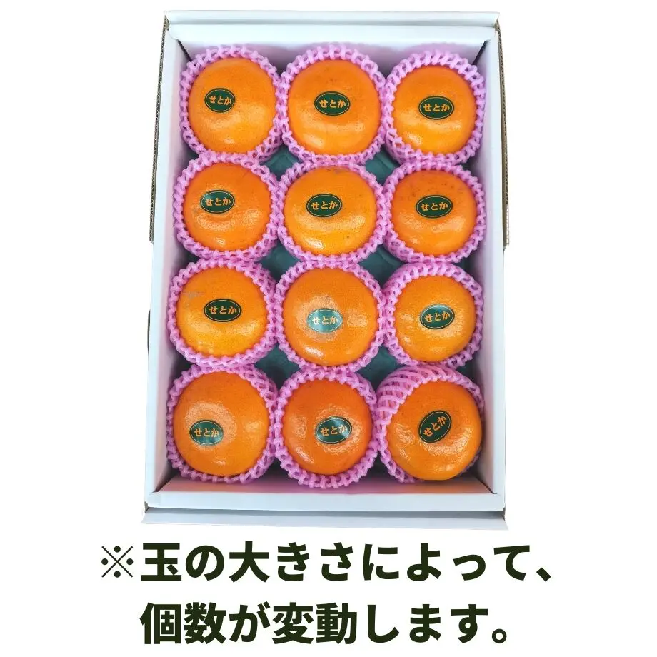 63ce49564773a37fc8508576
