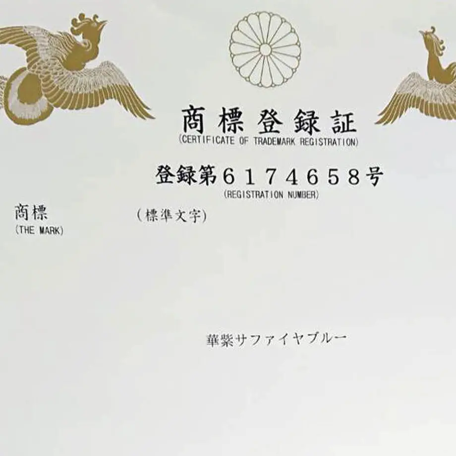 60558b94908654499a900c62