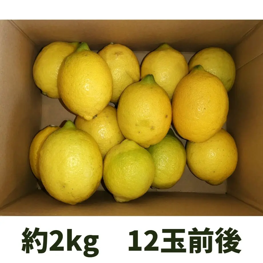 63a9649cd325cc3144ce027f