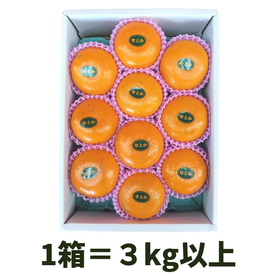 63ce49564773a37fc8508576