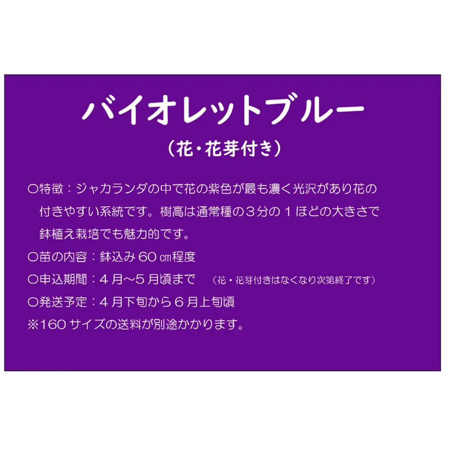 60558af0a11abc0895496cbe