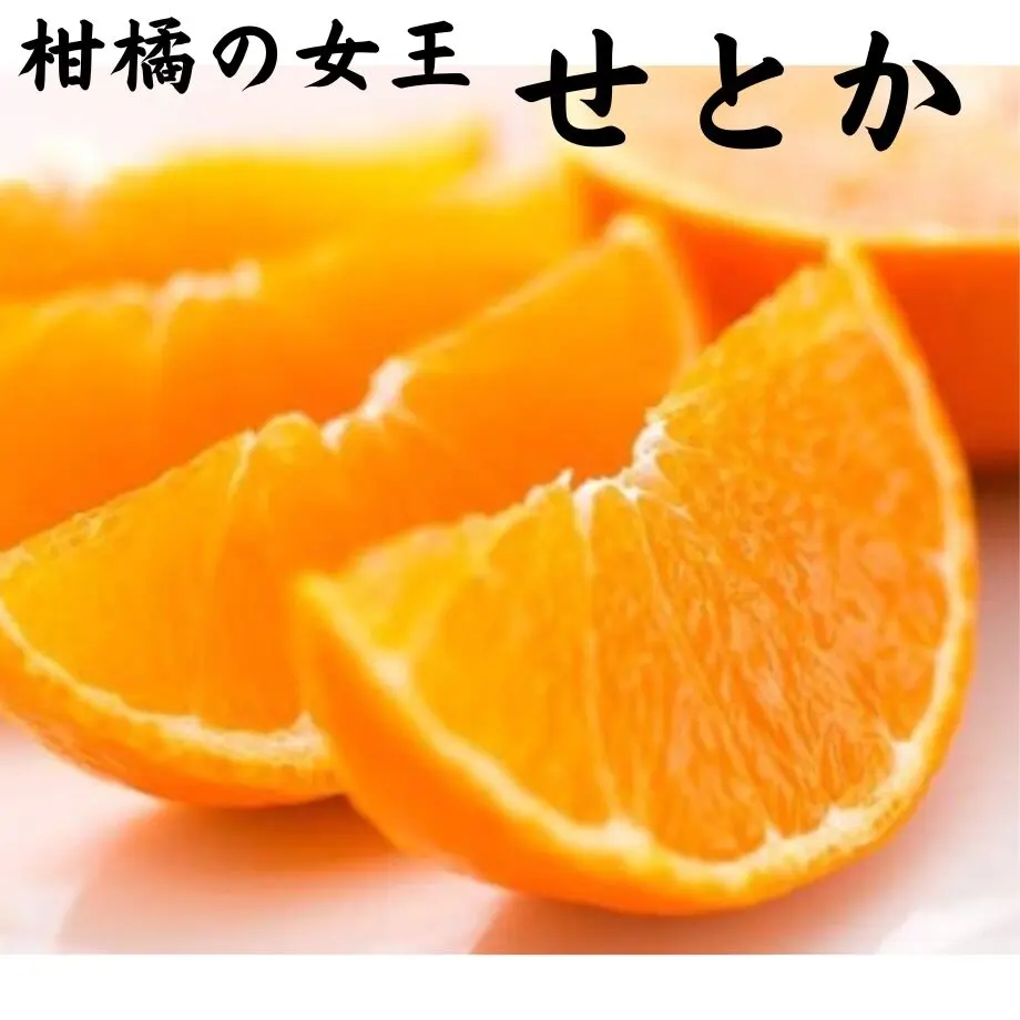 63ce49564773a37fc8508576