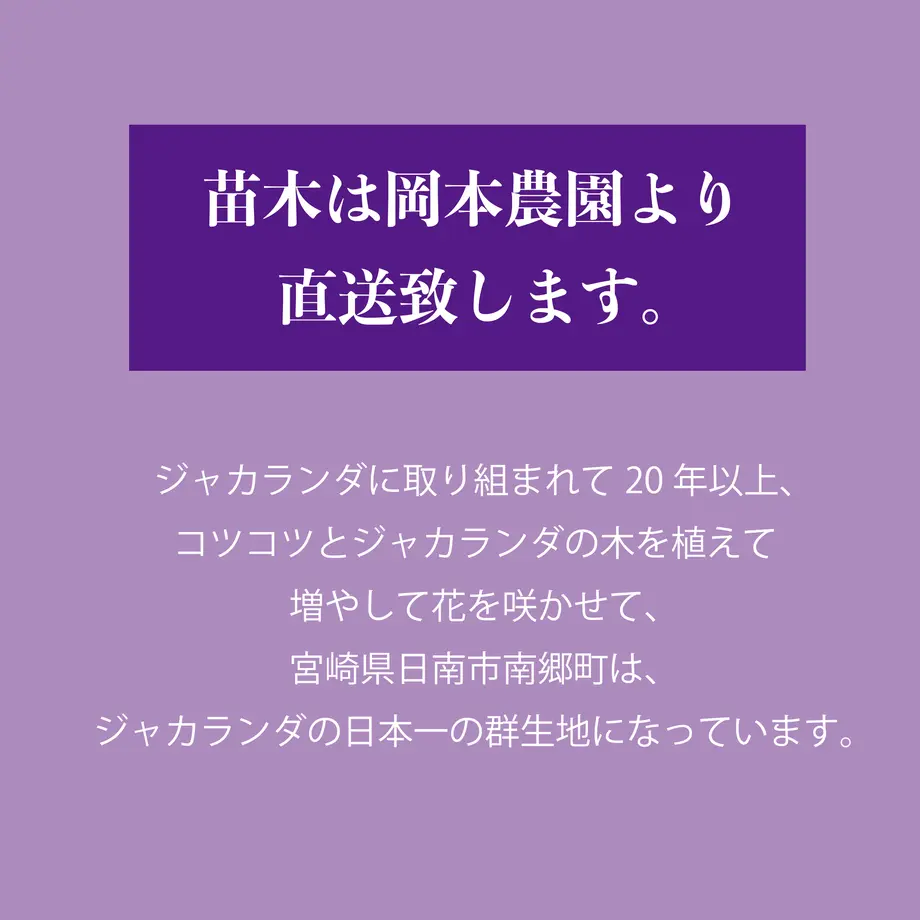 60558b94908654499a900c62