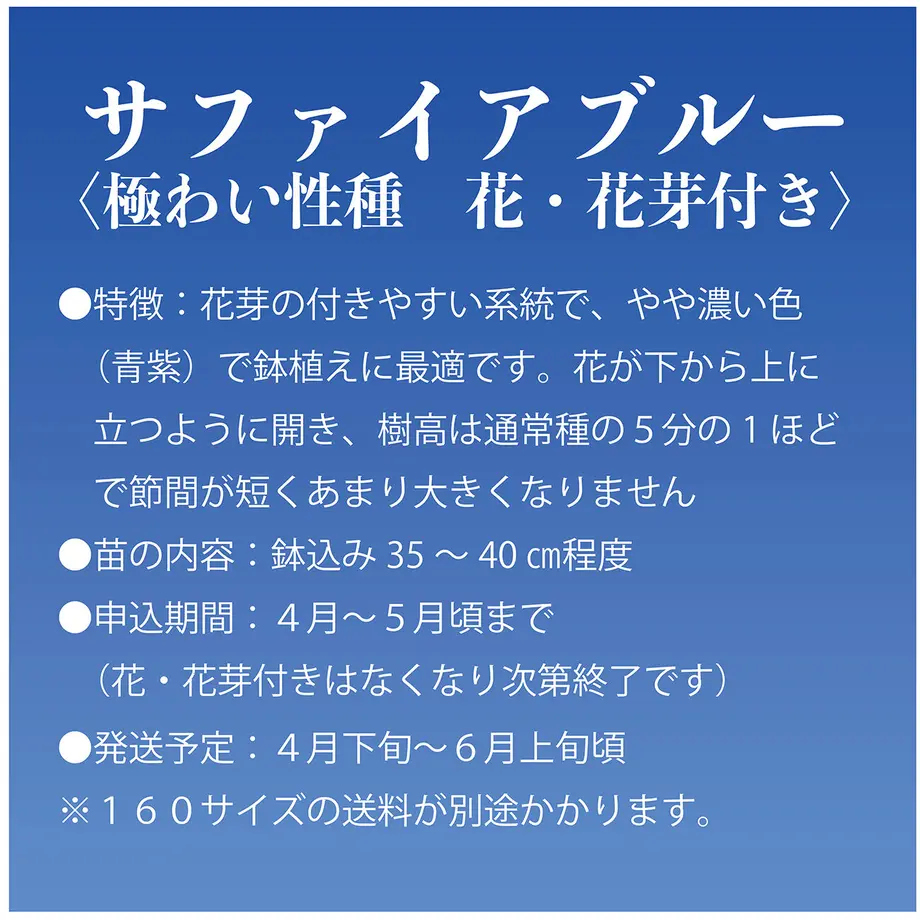 60558b94908654499a900c62