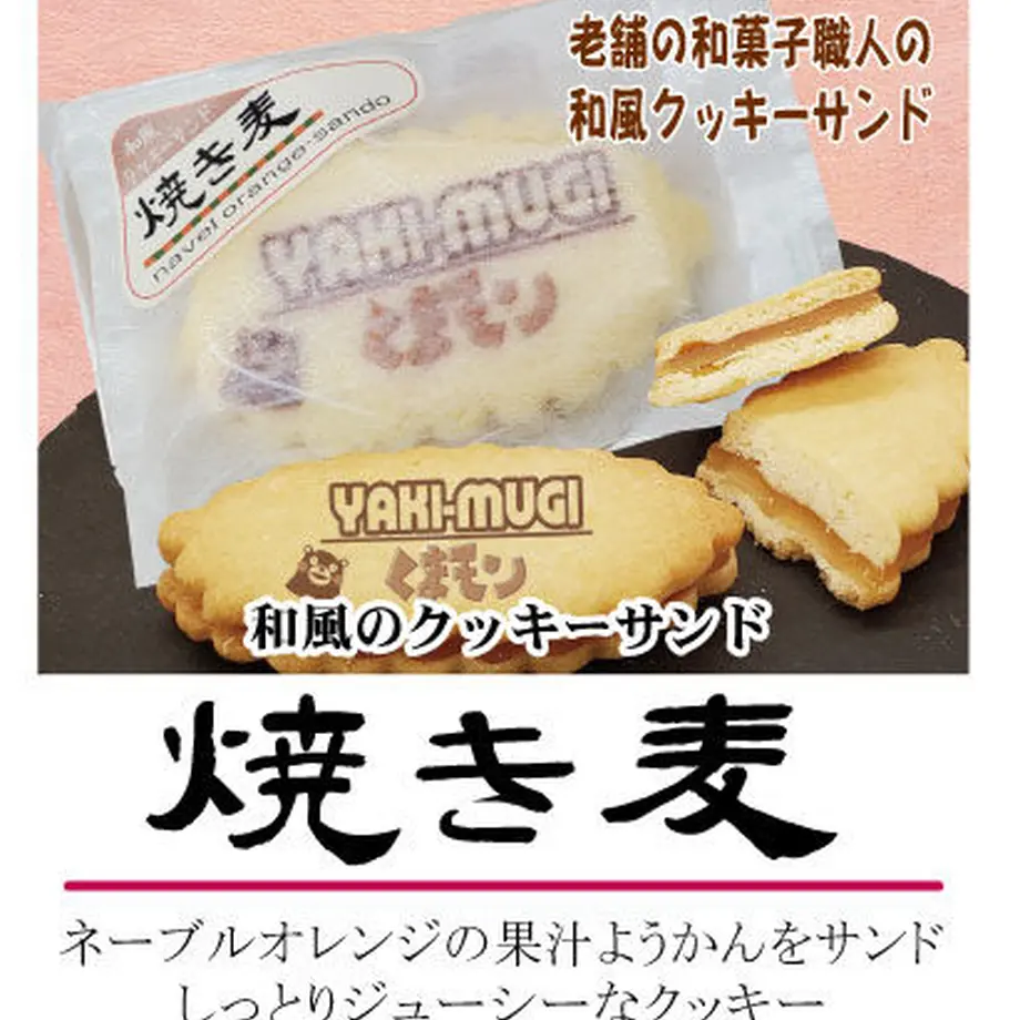 6171640bf77c76566833bfcd