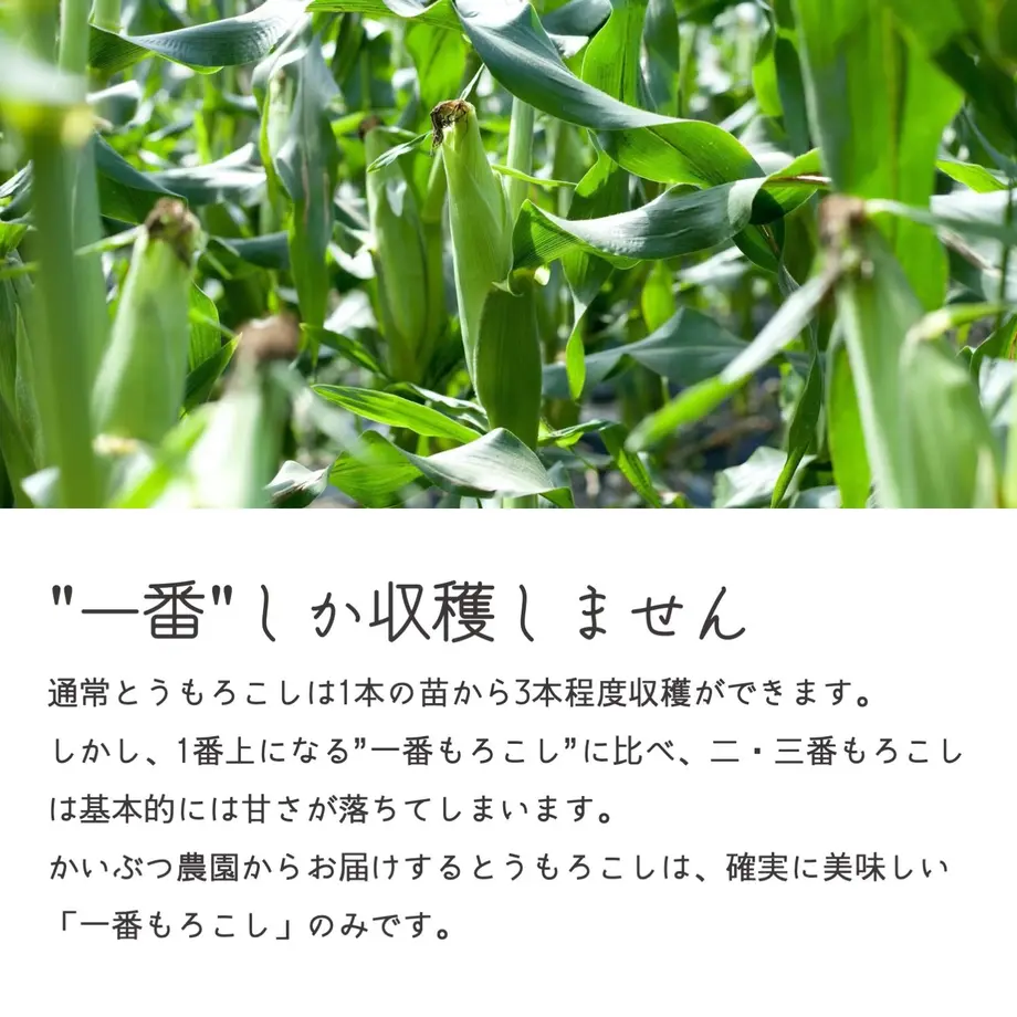 5ec5e784bd21781aa3b0635f