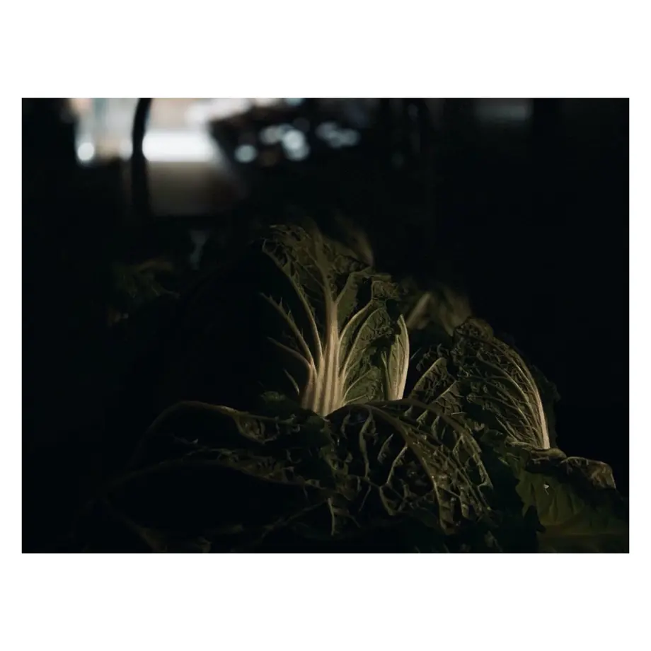 5f04336c74b4e44ae19a6e57