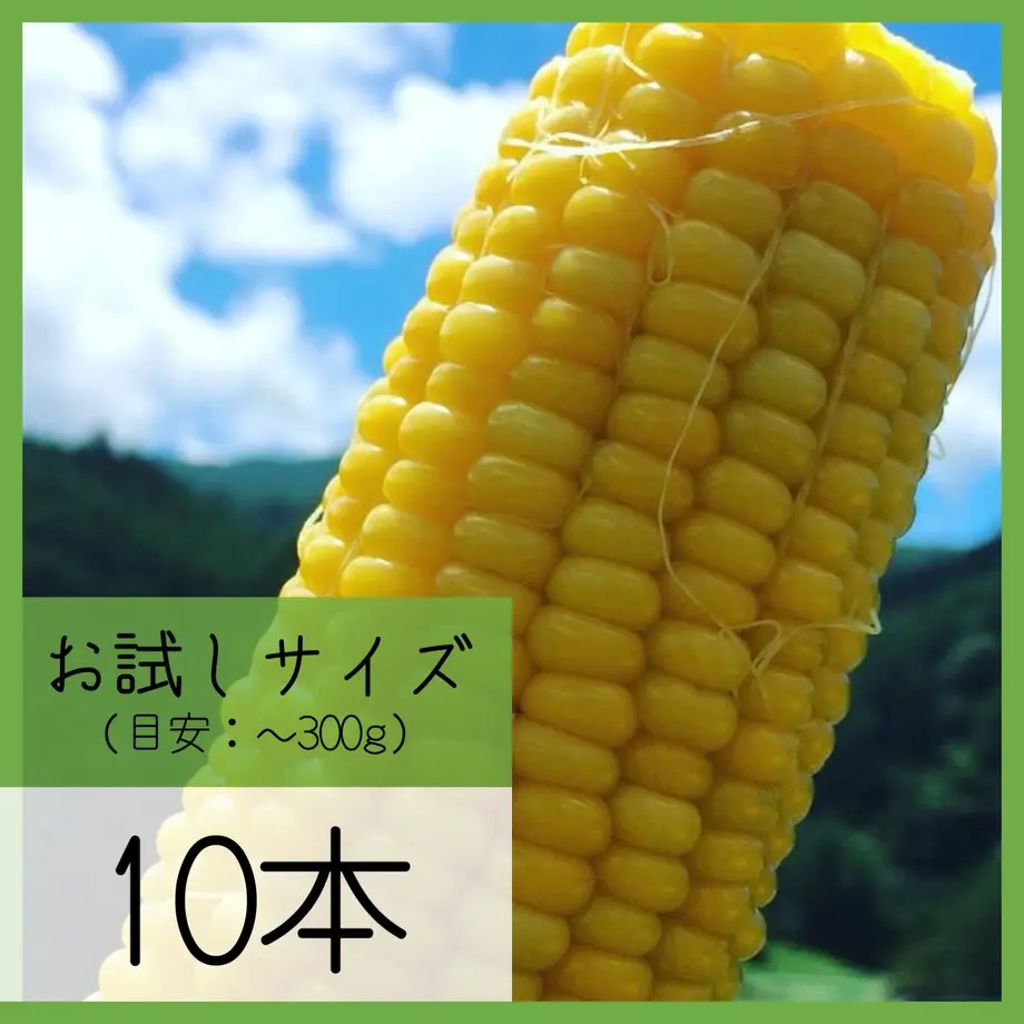 5ec5e784bd21781aa3b0635f