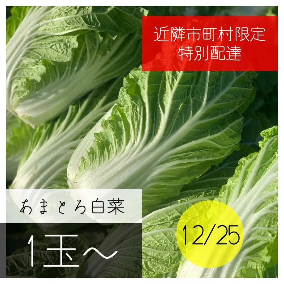 5fc8a744da019c220a4a340a