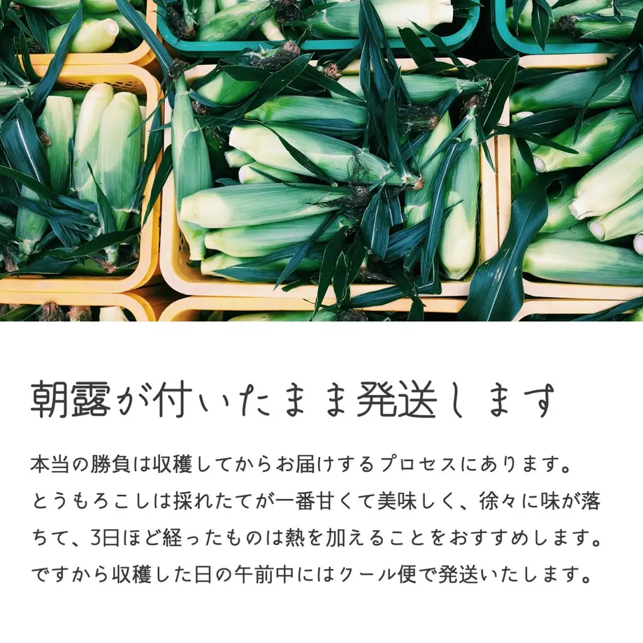 5ec5e784bd21781aa3b0635f