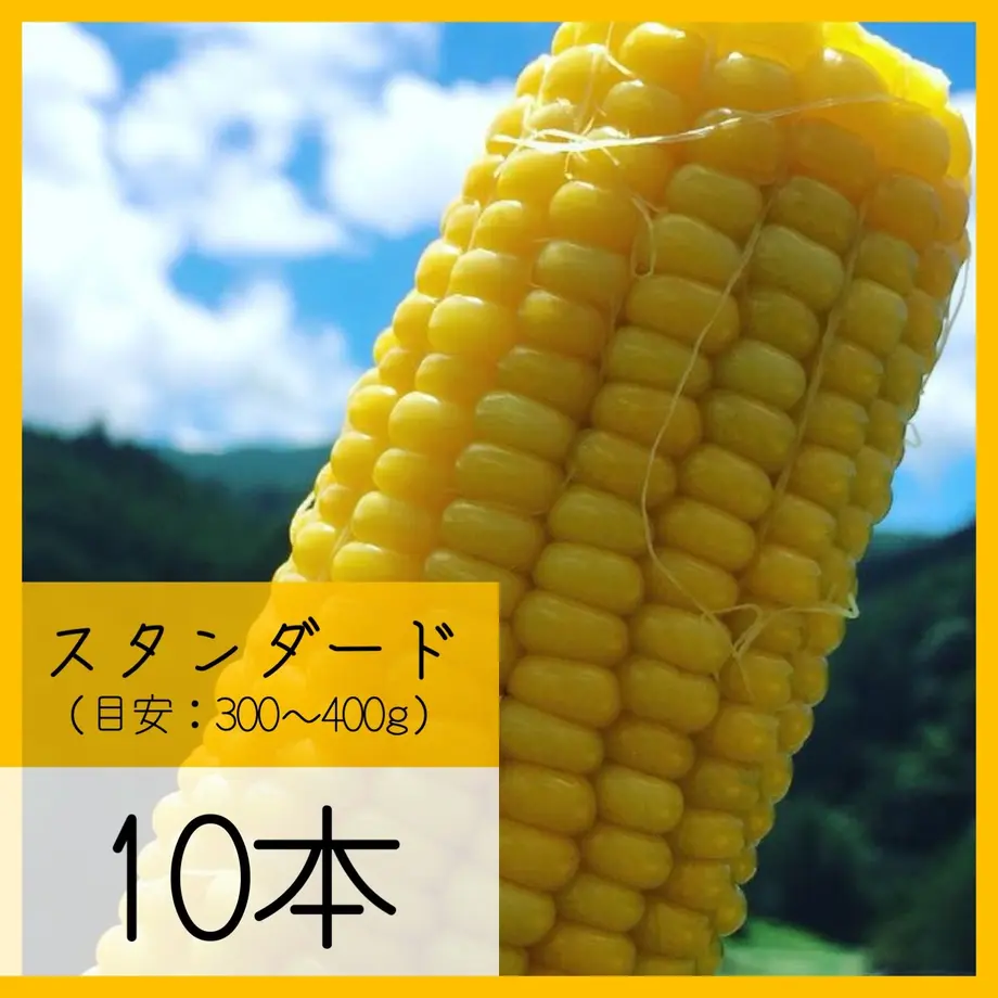 5ea60ec8cee9ea652919a3d2