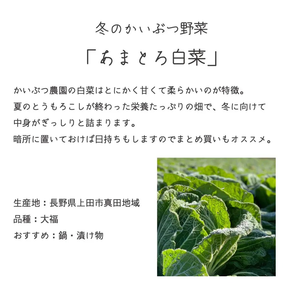 5fc8a744da019c220a4a340a