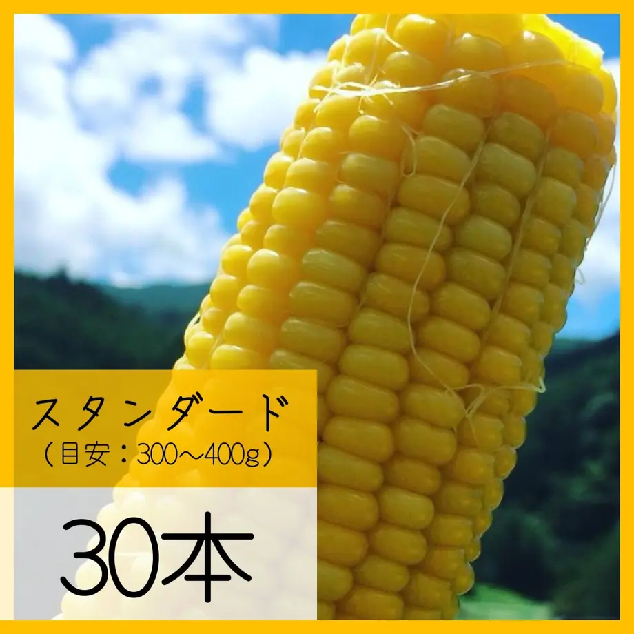 5ed9df2b55fa0346c646353d