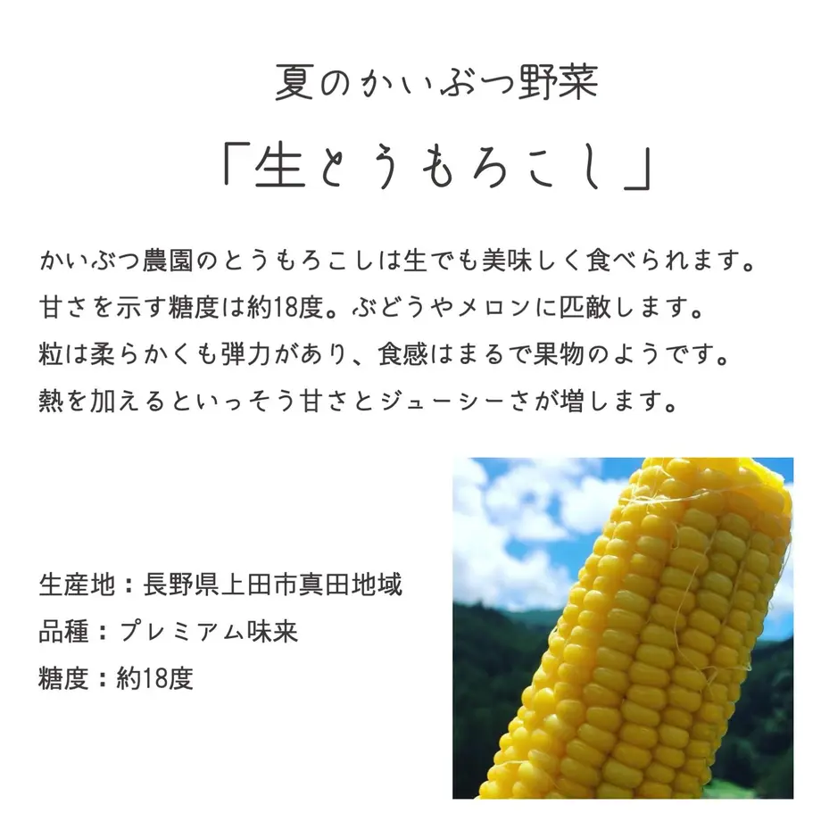 5ec5e784bd21781aa3b0635f