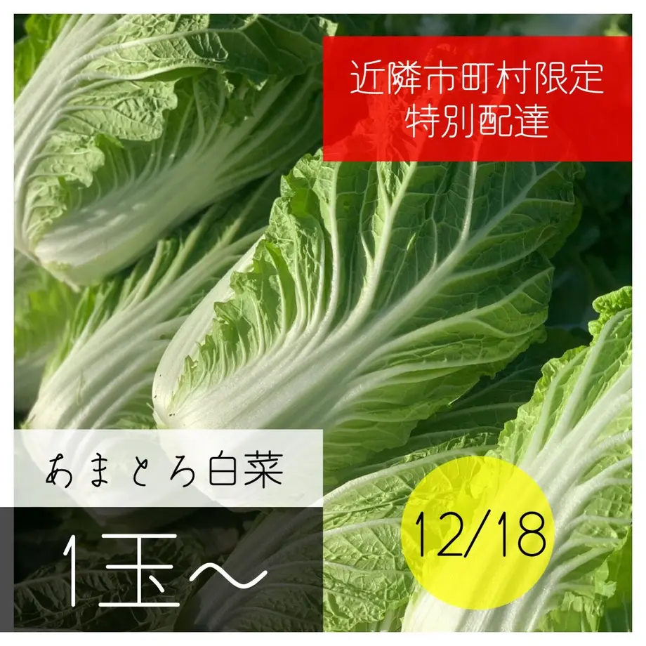 5fc8a720b00aa36669f90227