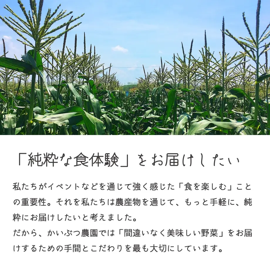 5fc8a744da019c220a4a340a