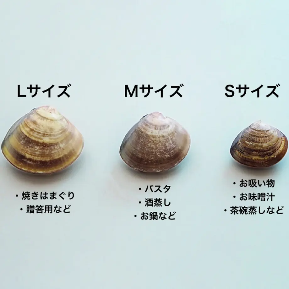 6094c8e0e70dc46fb6386a72