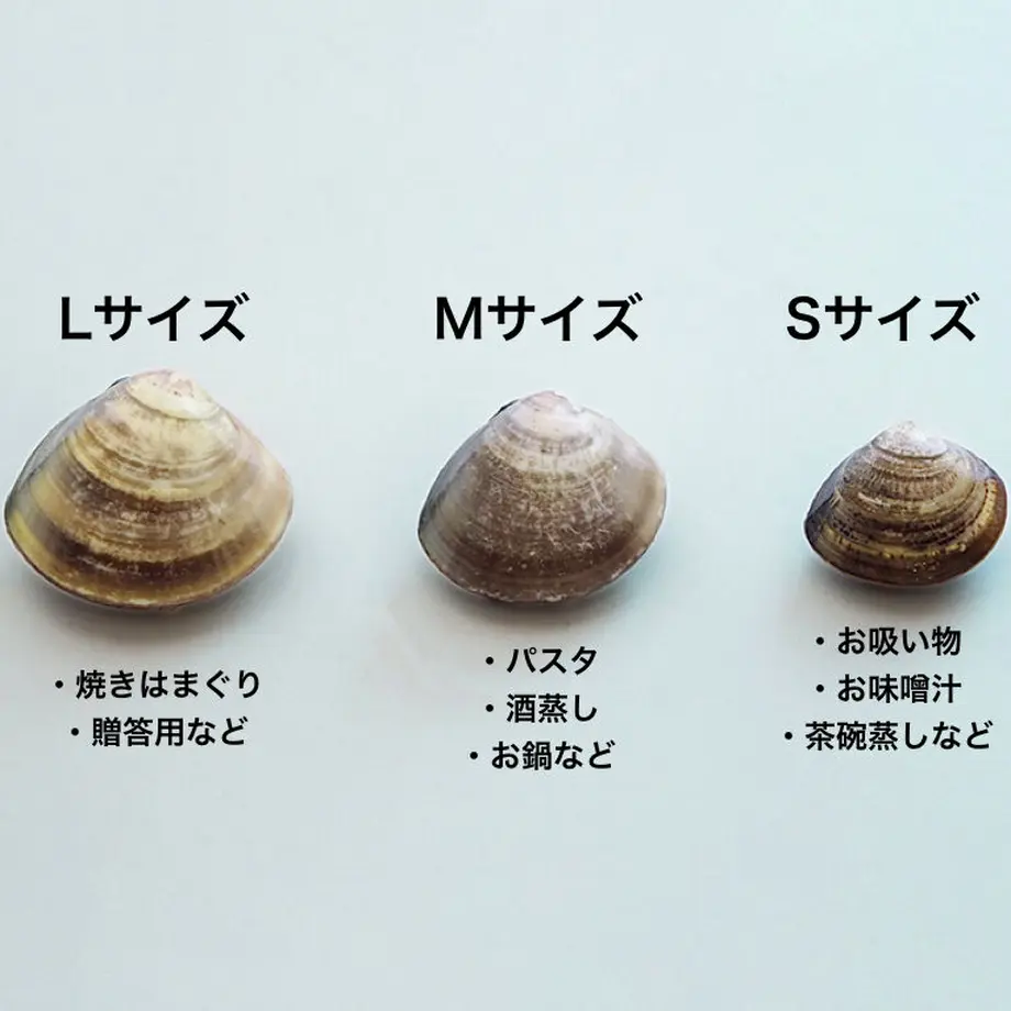 6094c441da019c1f738de725