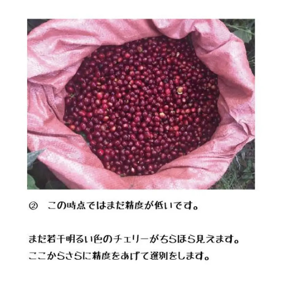60058c0446069064a65bd172