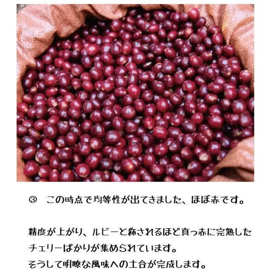6003b0f9f0b108014b3105eb