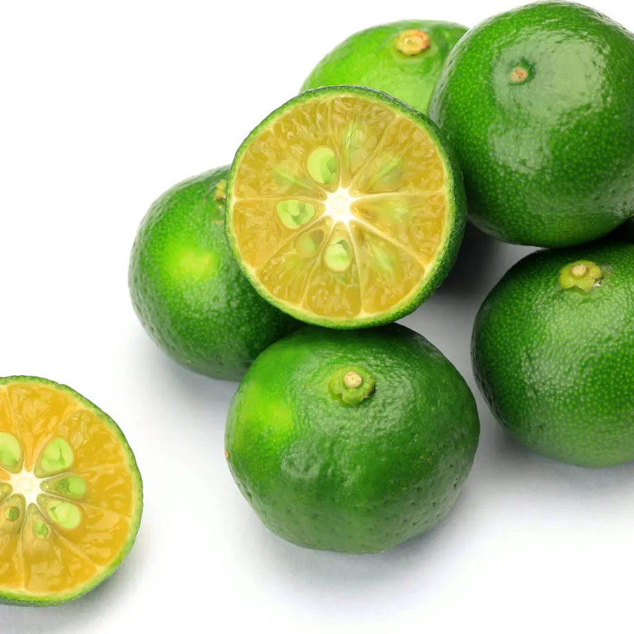 5e9faa4255fa03259f6a25ac