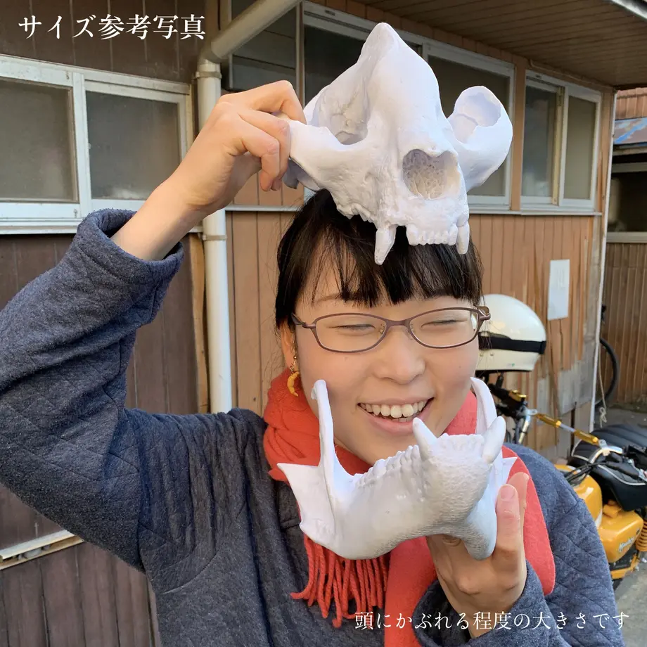 60a1e9d250a48a18d9102fd0