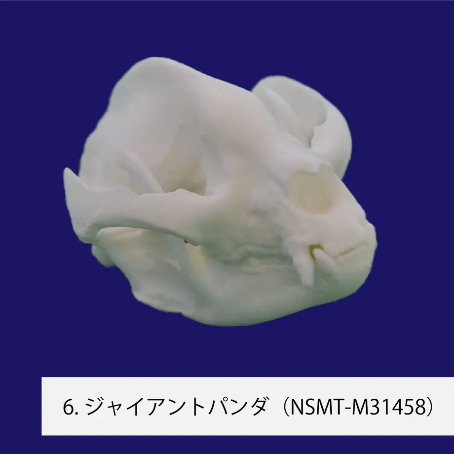 60719f02baeb3a2f274ec216