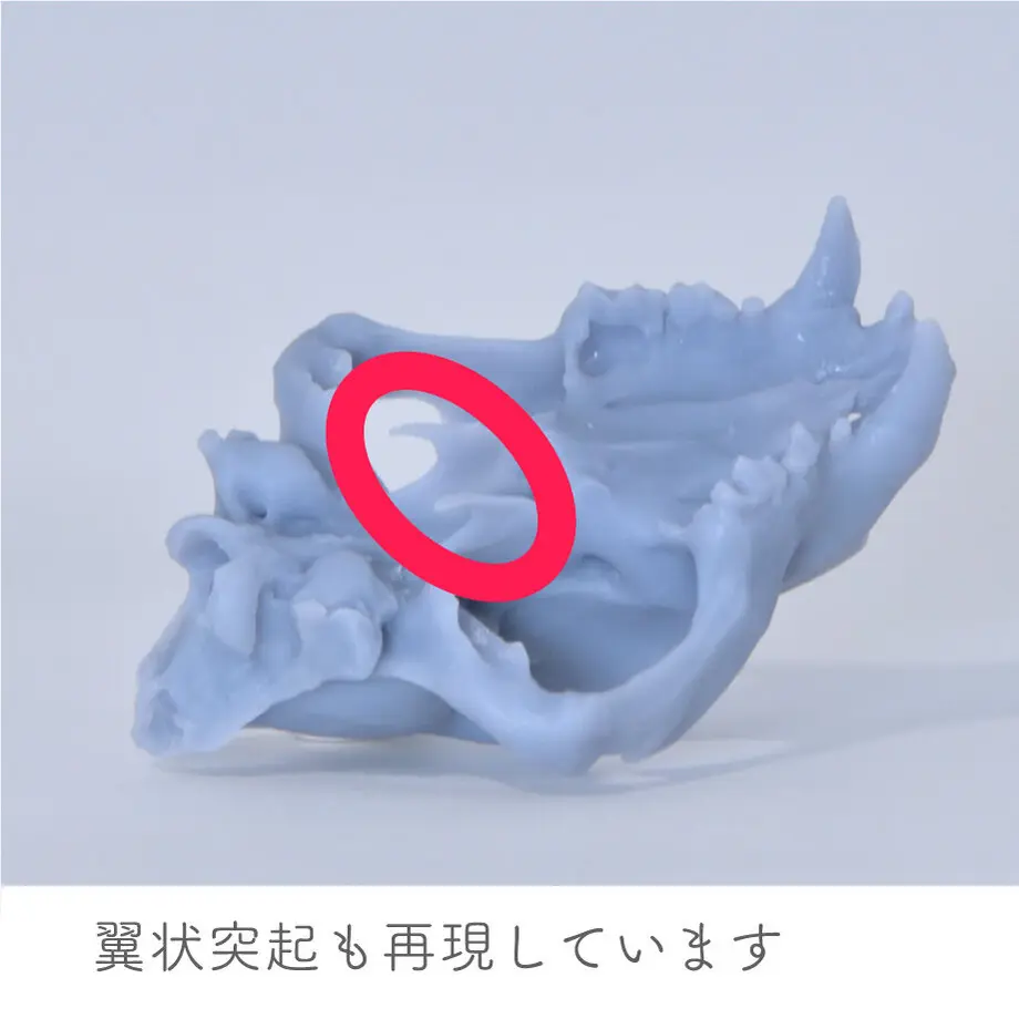 60d992a4228d2642780543bf