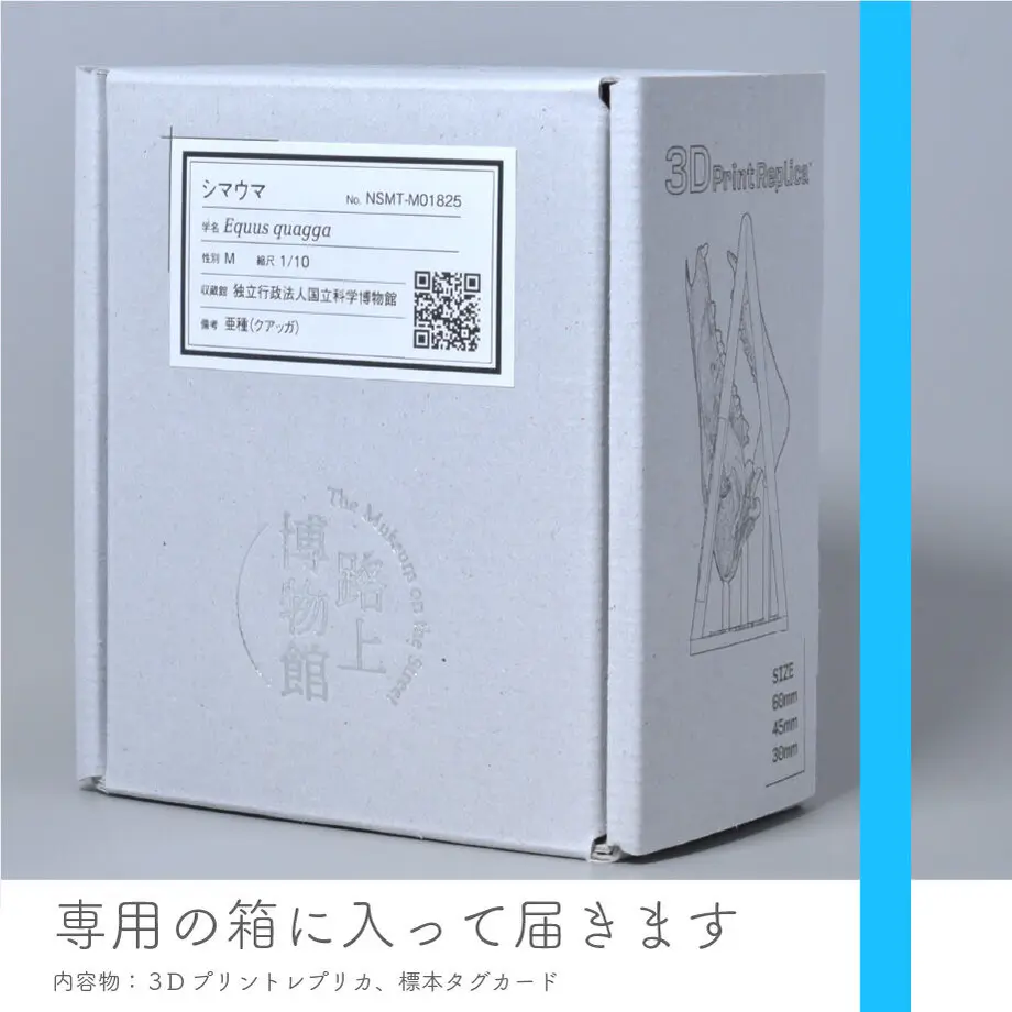60d992f3f5685141fed33c72