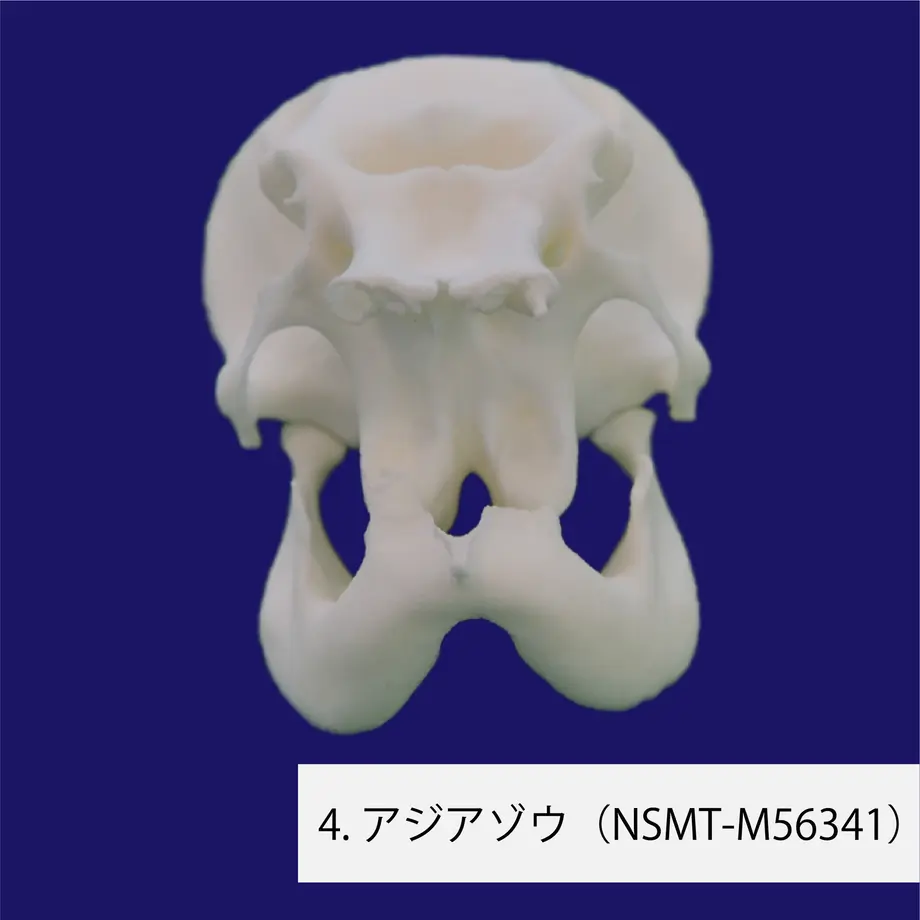 60719f02baeb3a2f274ec216
