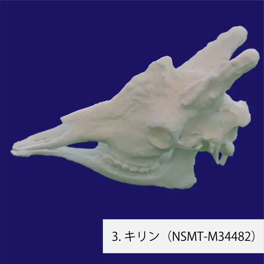 60719f02baeb3a2f274ec216