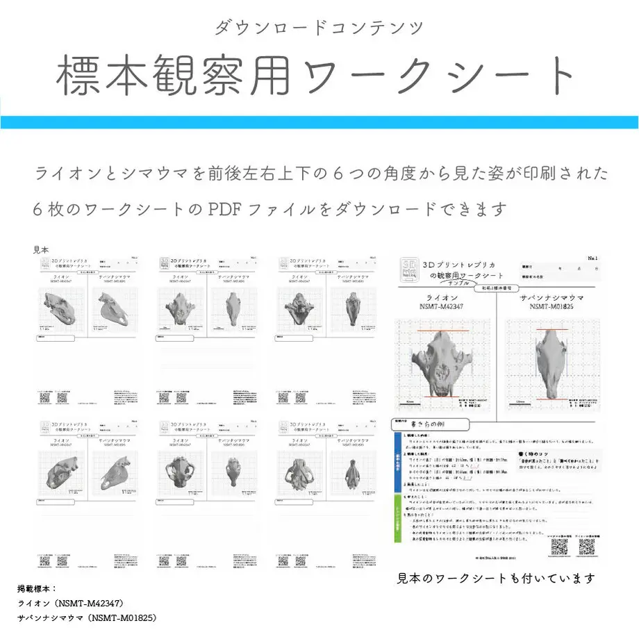 60d992f3f5685141fed33c72