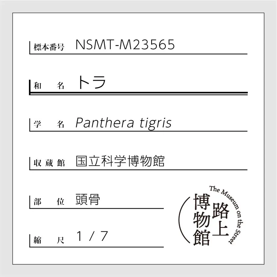625f8cd93463e757201c69aa