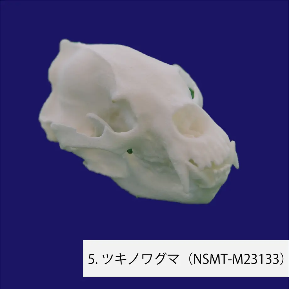60719f02baeb3a2f274ec216