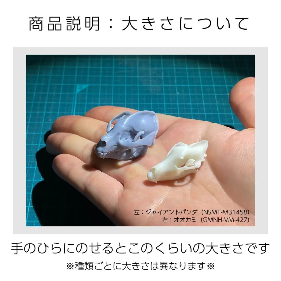 625fc9419fe3d71f3736a98b
