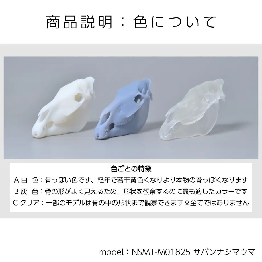 625fc9419fe3d71f3736a98b