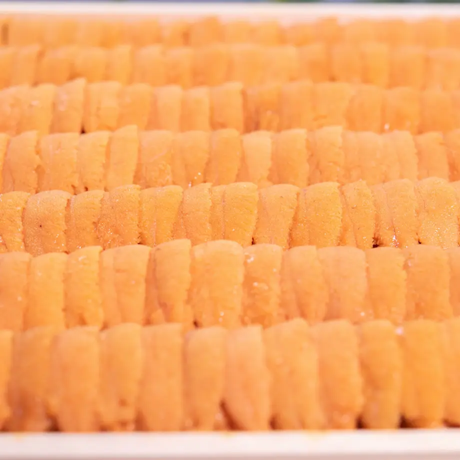 606a6c4c23055709d06f051d
