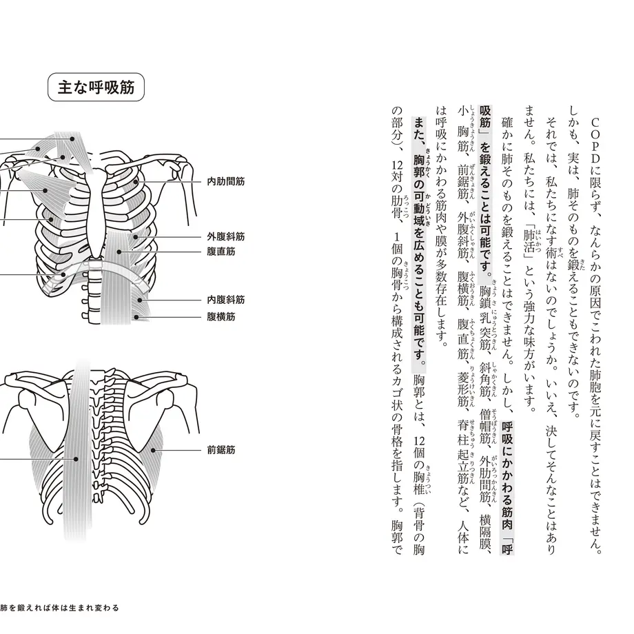 629874e9c359a833cc8791d4
