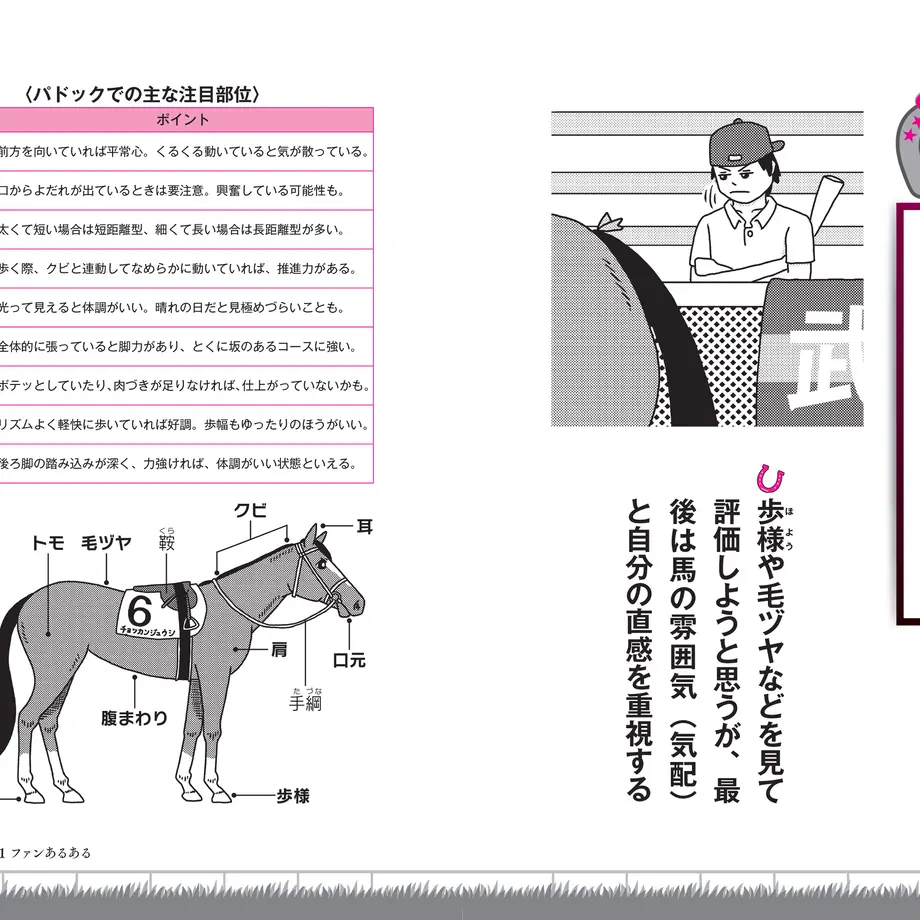 62456a4b4773a351594d31fc