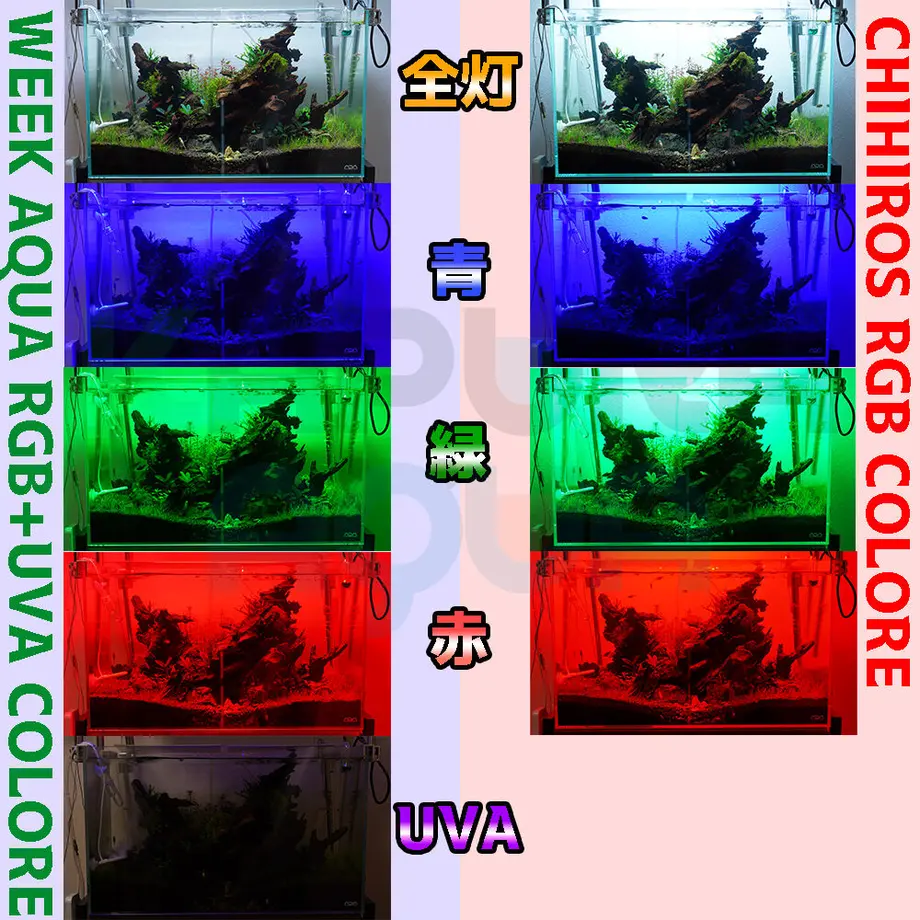 6164f29051244e35210ca2c6